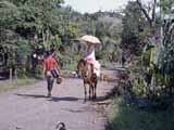 images/photos/1987_Philippines/Philippines_1987-03.jpg