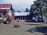 images/photos/1987_Tonga/Tonga_1087-02.jpg