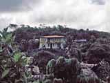 images/photos/1987_Tonga/Tonga_1087-13.jpg