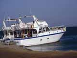 images/photos/1993_Red_Sea/Red_Sea_1993-01.jpg