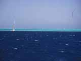 images/photos/1993_Red_Sea/Red_Sea_1993-16.jpg