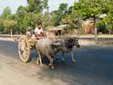 images/photos/2009_Burma/Burma_2009-02.jpg