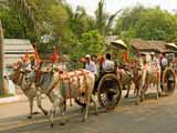images/photos/2009_Burma/Burma_2009-28.jpg