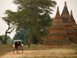 images/photos/2009_Burma/Burma_2009-32.jpg