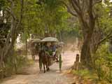 images/photos/2009_Burma/Burma_2009-60.jpg