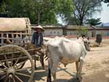 images/photos/2009_Burma/Burma_2009-68.jpg