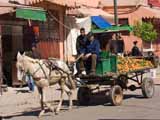 images/photos/2010_Marrakesh/Marrakesh_2010-09.jpg