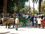 images/photos/2010_Marrakesh/Marrakesh_2010-63.jpg