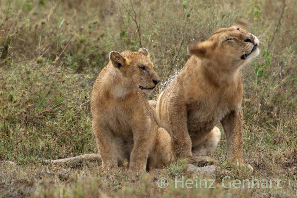 Tanzania